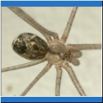 DSCN2358.jpg