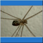 DSCN2363.jpg