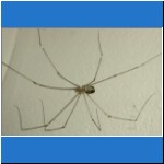 DSCN2366.jpg