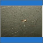 DSCN2367.jpg