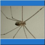 DSCN2368.jpg