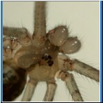 DSCN2370.jpg