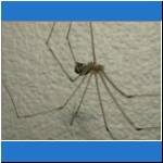 DSCN2374.jpg