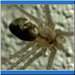 DSCN2378.jpg