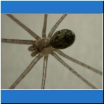 DSCN2380.jpg
