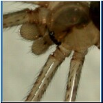 DSCN2383.jpg